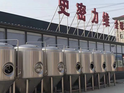 孝感精酿啤酒设备厂—市场规模与跨界新需求